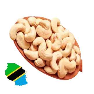tanzania cashew image