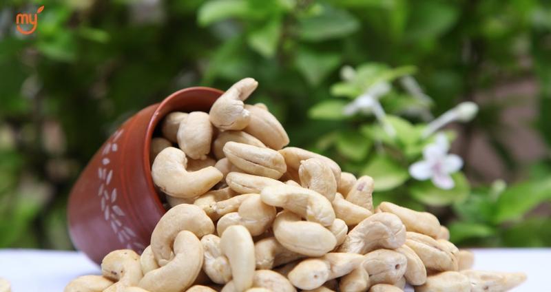 supplier of raw and processed Goa cashew nuts